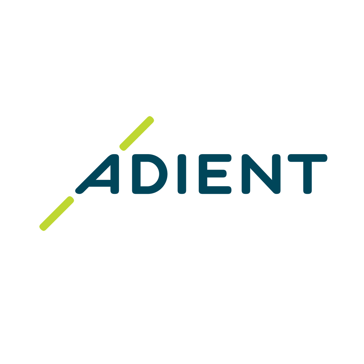 ADIENT India